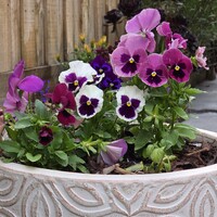 Profile picture for Christine Smith