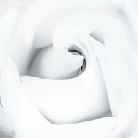 Profile picture for euclid viegas