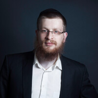 Profile picture for Avrohom Perl