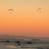 View Untitled 102 by Dean Wilson