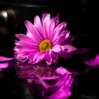 View 77da62a9b32a0a03487f7a2cef5dce19.jpg by Christopher Suckow