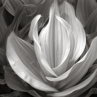 View e90f2e672f18c6c47351950da28a2999.jpg by Nathan McCreery