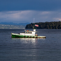 Green and white tugboat anchored in calm blue water with forested shoreline and mountains in background