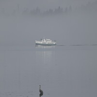 View Foggy start to the morning by Don L