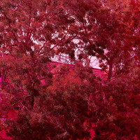 View Untitled 30 by Colin Andersson-Hamill