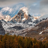Snow-capped alpine peak framed by golden larch forests and rocky mountain ridges