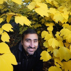 Profile picture for Reza Malayeri