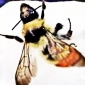 User picture for tricia montgomery