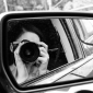 User picture for Olena White