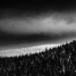 User picture for rauno kalda