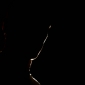 User picture for Marco Gonzalez
