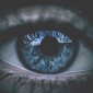 User picture for Kidizin Sane