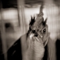 User picture for Edgar Thompson