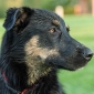 User picture for John Flora