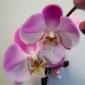 User picture for Marshall Barth