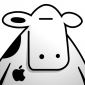 User picture for Bruce Bull