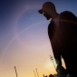 User picture for Amir Sharafeh