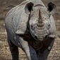 User picture for Alan Hendry