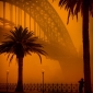 User picture for Paul Foley