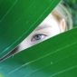 User picture for Lacie McKindle