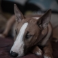 User picture for Todd Williams