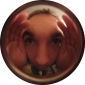 User picture for Mike Salmon