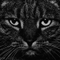 User picture for Kevin Richards