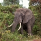 User picture for Ed Mullin