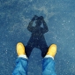 User picture for lewis lim