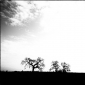 User picture for Frank Filice