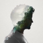 User picture for Nithin Narayan