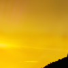User picture for Leonardo Diniz