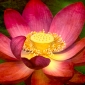 User picture for Mary Konchar