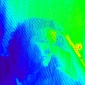 User picture for LeeAnne Mallonee