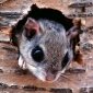 User picture for Thomas Schneider