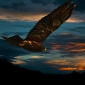 User picture for Scott Vallance