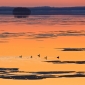 User picture for Jorma Hevonkoski