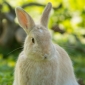 User picture for Zdenek Hruska
