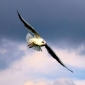 User picture for Dave Taylor