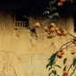 User picture for Huang Jianhua