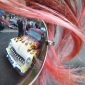User picture for Ailsa Fox