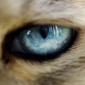 User picture for roman zlobin