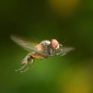 User picture for Stephen Plant