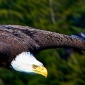 User picture for Greg Buser