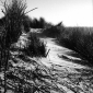 User picture for Frederik van Lambalgen