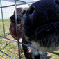 User picture for John Longmire
