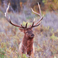 User picture for gary luce