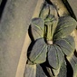 User picture for Anna Juszczak