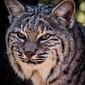 User picture for Kurt Harrison