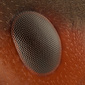 User picture for Morten Aagaard